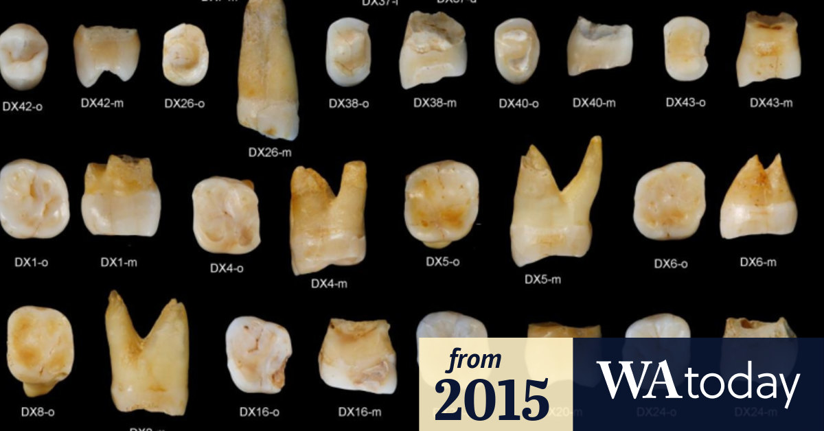 Ancient Chinese teeth could rewrite human history